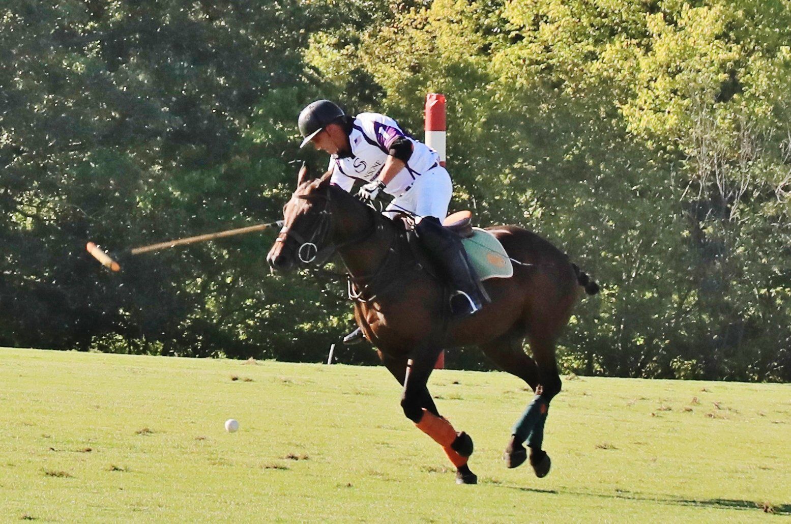 2018-Glennon-Gallop-054.JPG